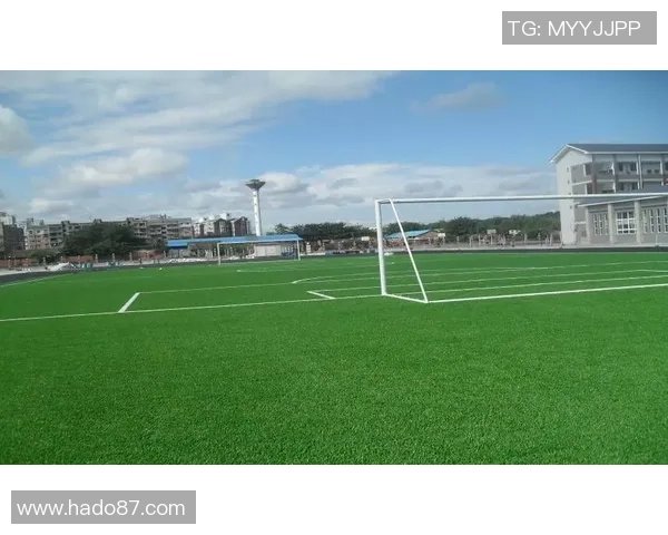 亲吻足球场草坪的球星揭秘他们背后的感人故事与赛场情怀